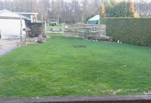 Is Your Garden Turning into a Soggy Nightmare? Carbon Gold’s Sue Rawlings offers top tips for banishing the water for good.