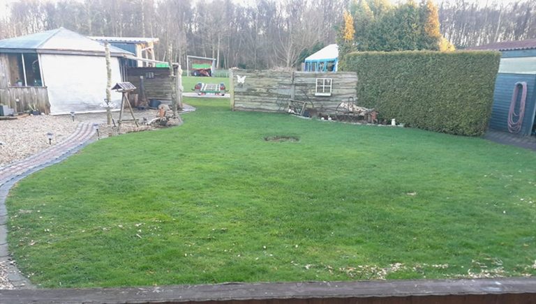 Is Your Garden Turning into a Soggy Nightmare? Carbon Gold’s Sue Rawlings offers top tips for banishing the water for good.